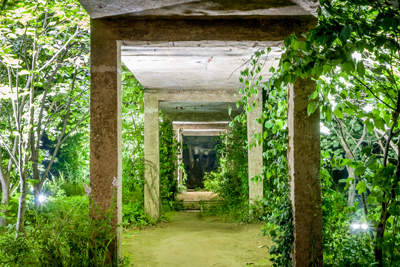 한국 철도 여행