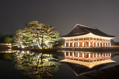 벚꽃 축제 여행