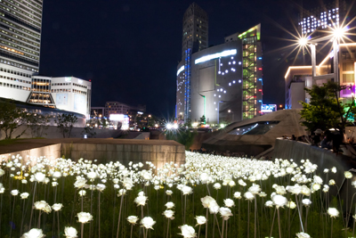 한국의 정수 탐방