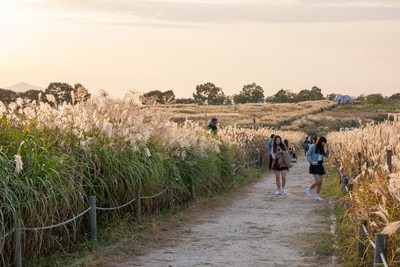 Mountain Trekking Adventure