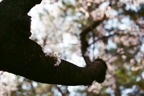 지기트래블 철학 이미지 1