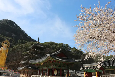 Water Sports Adventure